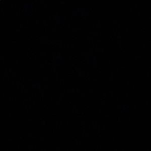 Meet your Posher, Bree